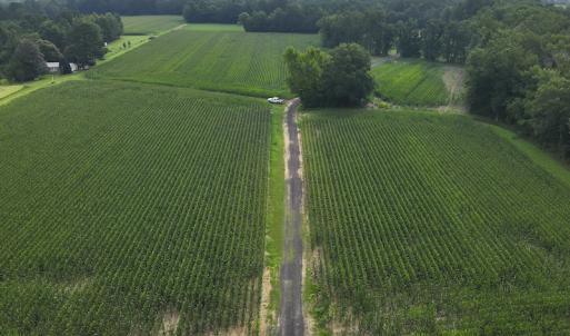 Photo #12 of SOLD property in Off Elkton Road, Clarkton, NC 45.6 acres