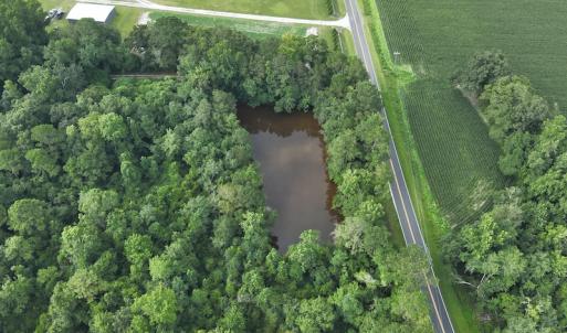 Photo #13 of SOLD property in Off Elkton Road, Clarkton, NC 45.6 acres