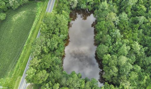 Photo #14 of SOLD property in Off Elkton Road, Clarkton, NC 45.6 acres