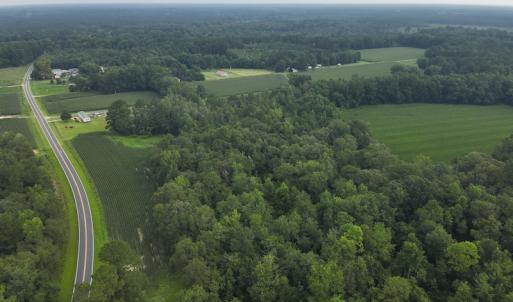 Photo #16 of SOLD property in Off Elkton Road, Clarkton, NC 45.6 acres