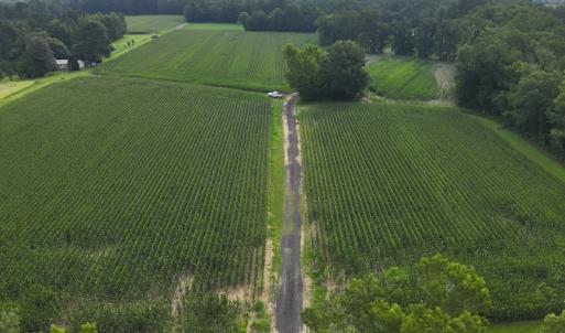 Photo #17 of SOLD property in Off Elkton Road, Clarkton, NC 45.6 acres