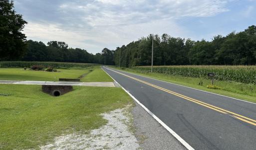 Photo #20 of SOLD property in Off Elkton Road, Clarkton, NC 45.6 acres