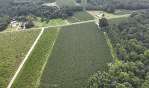 Photo #3 of SOLD property in Off Elkton Road, Clarkton, NC 45.6 acres