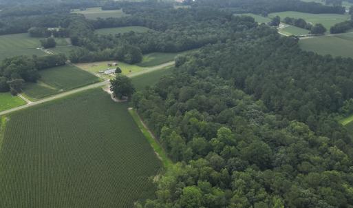 Photo #4 of SOLD property in Off Elkton Road, Clarkton, NC 45.6 acres