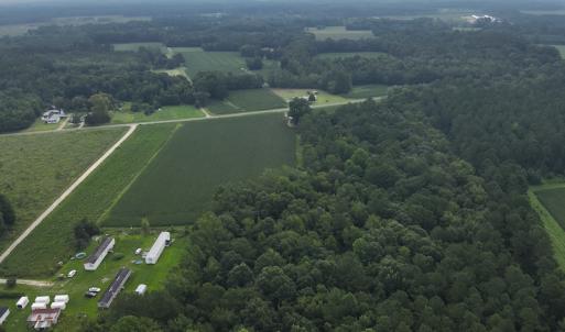Photo #5 of SOLD property in Off Elkton Road, Clarkton, NC 45.6 acres