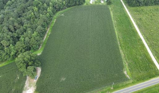 Photo #6 of SOLD property in Off Elkton Road, Clarkton, NC 45.6 acres