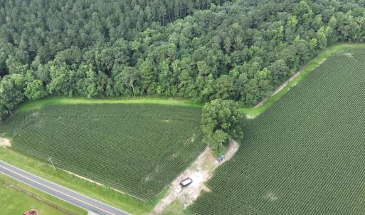 Photo #7 of SOLD property in Off Elkton Road, Clarkton, NC 45.6 acres