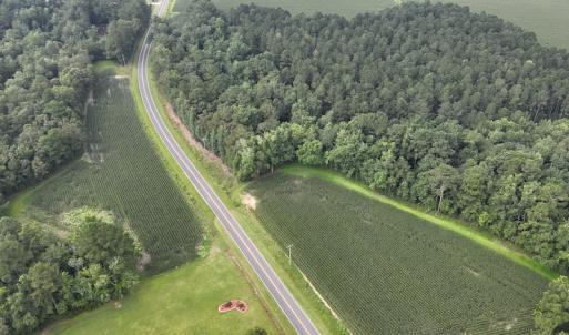 Photo #8 of SOLD property in Off Elkton Road, Clarkton, NC 45.6 acres