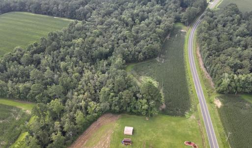 Photo #9 of SOLD property in Off Elkton Road, Clarkton, NC 45.6 acres