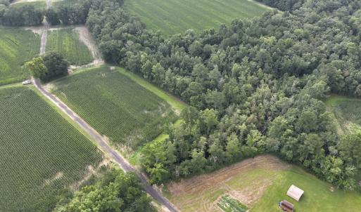 Photo #10 of SOLD property in Off Elkton Road, Clarkton, NC 45.6 acres