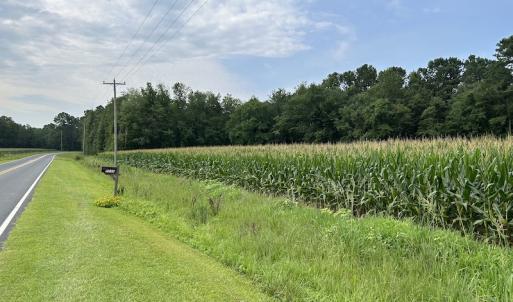 Photo #21 of SOLD property in Off Elkton Road, Clarkton, NC 45.6 acres