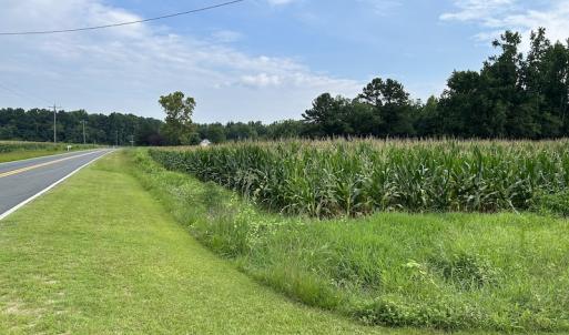 Photo #22 of SOLD property in Off Elkton Road, Clarkton, NC 45.6 acres
