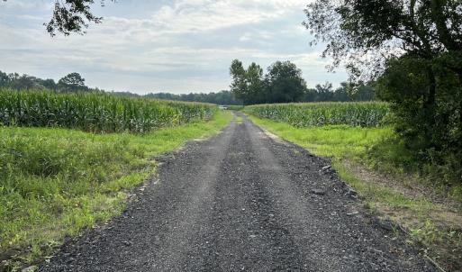 Photo #25 of SOLD property in Off Elkton Road, Clarkton, NC 45.6 acres