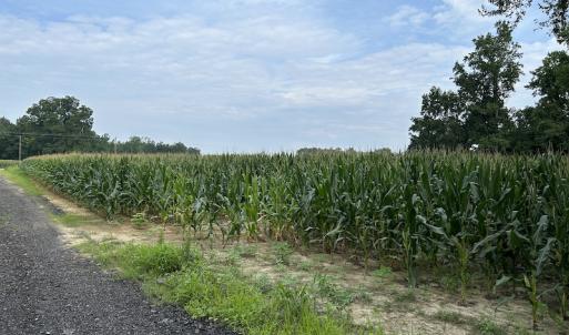 Photo #26 of SOLD property in Off Elkton Road, Clarkton, NC 45.6 acres