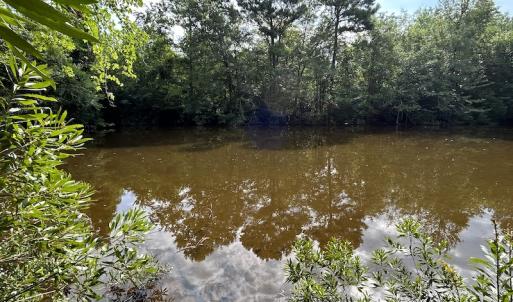 Photo #35 of SOLD property in Off Elkton Road, Clarkton, NC 45.6 acres