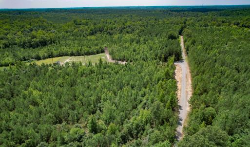 Photo #3 of SOLD property in Off Clifton Road, Beaverdam, VA 36.7 acres