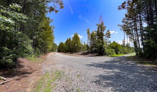 Photo #4 of SOLD property in Off Clifton Road, Beaverdam, VA 36.7 acres
