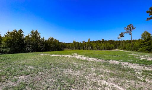 Photo #12 of SOLD property in Off Clifton Road, Beaverdam, VA 36.7 acres