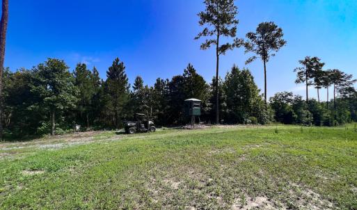 Photo #15 of SOLD property in Off Clifton Road, Beaverdam, VA 36.7 acres