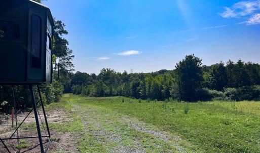 Photo #16 of SOLD property in Off Clifton Road, Beaverdam, VA 36.7 acres