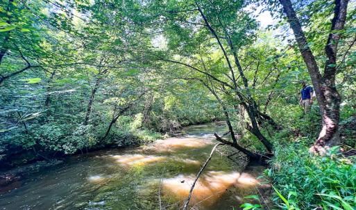 Photo #19 of SOLD property in Off Clifton Road, Beaverdam, VA 36.7 acres