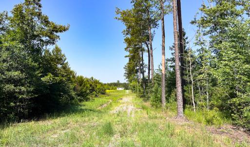 Photo #22 of SOLD property in Off Clifton Road, Beaverdam, VA 36.7 acres