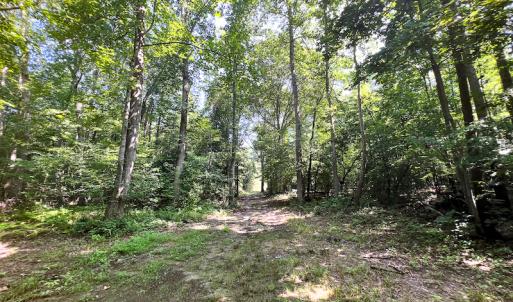 Photo #27 of SOLD property in Off Clifton Road, Beaverdam, VA 36.7 acres