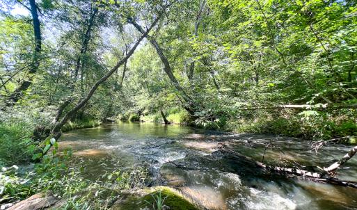 Photo #1 of SOLD property in Off Clifton Road, Beaverdam, VA 36.7 acres