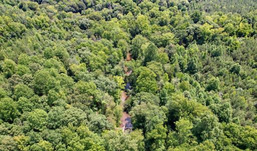 Photo #28 of SOLD property in Off Clifton Road, Beaverdam, VA 36.7 acres