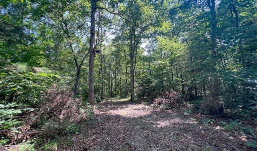 Photo #29 of SOLD property in Off Clifton Road, Beaverdam, VA 36.7 acres