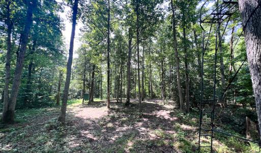 Photo #30 of SOLD property in Off Clifton Road, Beaverdam, VA 36.7 acres