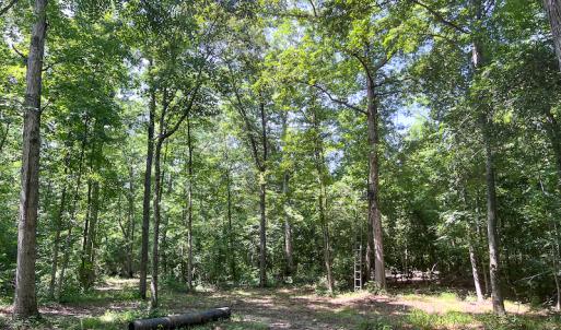 Photo #32 of SOLD property in Off Clifton Road, Beaverdam, VA 36.7 acres