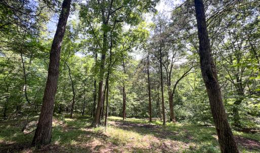 Photo #33 of SOLD property in Off Clifton Road, Beaverdam, VA 36.7 acres