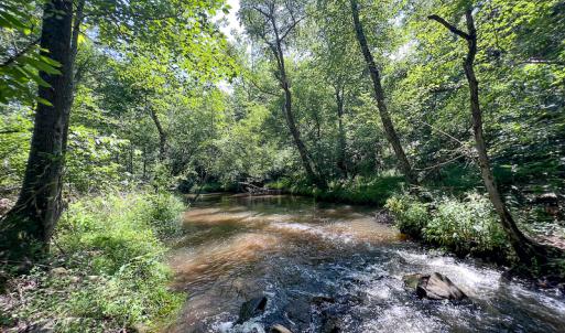 Photo #37 of SOLD property in Off Clifton Road, Beaverdam, VA 36.7 acres