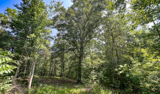 Photo #40 of SOLD property in Off Clifton Road, Beaverdam, VA 36.7 acres