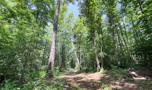 Photo #44 of SOLD property in Off Clifton Road, Beaverdam, VA 36.7 acres