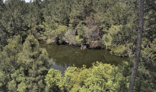 Photo #9 of SOLD property in 255 Whippoorwill Lane, Sneads Ferry, NC 3.1 acres