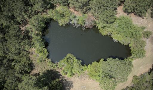 Photo #11 of SOLD property in 255 Whippoorwill Lane, Sneads Ferry, NC 3.1 acres
