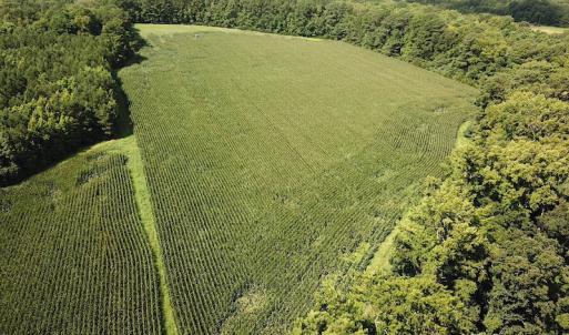 Photo #2 of SOLD property in Off Whachapreague Rd , Wachapreague, VA 40.0 acres