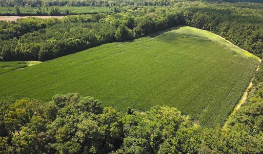 Photo #3 of SOLD property in Off Whachapreague Rd , Wachapreague, VA 40.0 acres