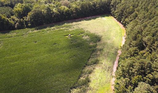 Photo #5 of SOLD property in Off Whachapreague Rd , Wachapreague, VA 40.0 acres