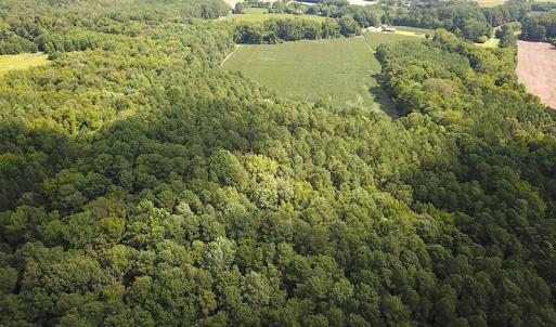 Photo #6 of SOLD property in Off Whachapreague Rd , Wachapreague, VA 40.0 acres