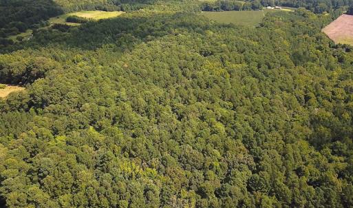 Photo #7 of SOLD property in Off Whachapreague Rd , Wachapreague, VA 40.0 acres