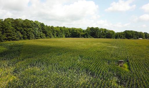 Photo #9 of SOLD property in Off Whachapreague Rd , Wachapreague, VA 40.0 acres