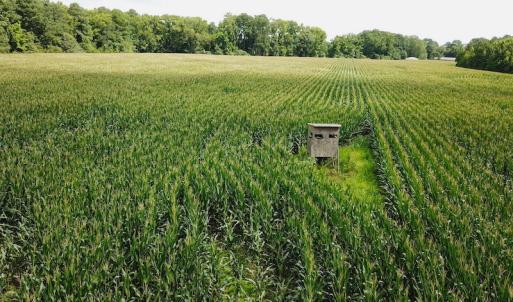 Photo #10 of SOLD property in Off Whachapreague Rd , Wachapreague, VA 40.0 acres