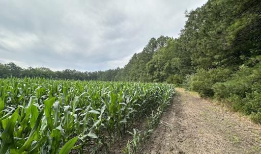Photo #36 of SOLD property in Off Whachapreague Rd , Wachapreague, VA 40.0 acres