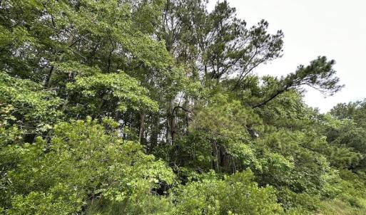 Photo #51 of SOLD property in Off Whachapreague Rd , Wachapreague, VA 40.0 acres
