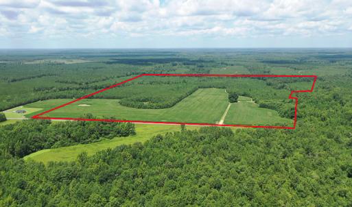 Photo #2 of SOLD property in Off River Town Rd, Yale, VA 90.0 acres