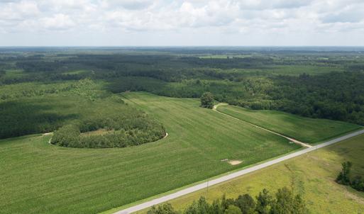 Photo #3 of SOLD property in Off River Town Rd, Yale, VA 90.0 acres