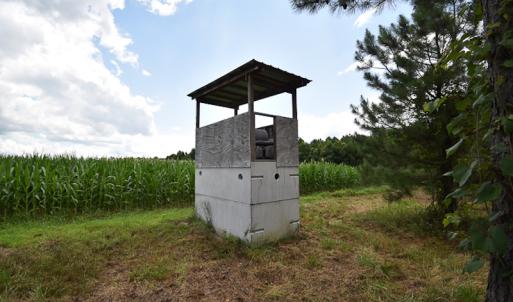Photo #13 of SOLD property in Off River Town Rd, Yale, VA 90.0 acres